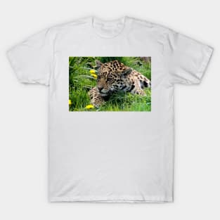 Cub T-Shirt